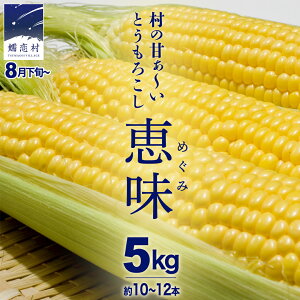 �y�ӂ邳�Ɣ[�Łz�Á`���g�E�����R�V �b�� 5kg ��10�`12�{ �s���������I�ׂ�t �Ƃ����낱�� �Y�n���� �H���c���X ���Ԍ��� ��s�\�� �l�C ���̂� ������ �֓� �Q�n ��s��t