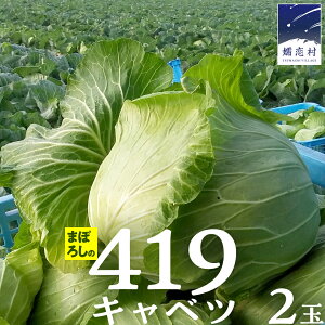 yӂ邳Ɣ[Łz ܂ڂ낵419Lxc s Iׂ ʁz t1 3  2 4 ׂ ڗLxc ڗYLxc HcX ̃Lxc419 Yn Ԍ lC 