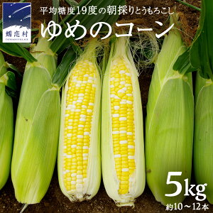 yӂ邳Ɣ[Łz߂̃R[ 5kg 10`12{ Ƃ낱 gERV XC[gR[  Yn HcX Ԍ lC ̂  ʔ ֓ Qn