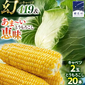 【ふるさと納税】＜ 8月上旬 発送開始 ＞ 朝採り野菜 人気2種セット まぼろしの419キャベツ 2玉 と 甘～いトウモロコシ 恵味 20本 とうもろこし きゃべつ キャベツ トウモロコシ 嬬恋村産キャベツ 幻のキャベツ419 産地直送 羽生田売店 期間限定 人気 朝採り お取り寄せ 関東