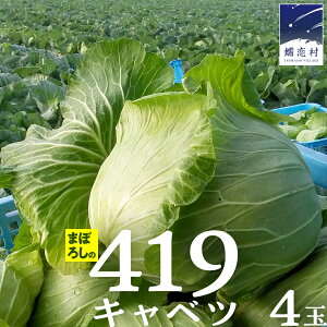 yӂ邳Ɣ[Łz ܂ڂ낵419Lxc s Iׂ ʁz t1 3  2 4 ׂ ڗLxc ڗYLxc HcX ̃Lxc419 Yn Ԍ lC 