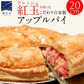 【ふるさと納税】 アップルパイ （ ホール 直径 20cm ） 自家製 ケーキ パイ おやつ 焼菓子 焼き菓子 リンゴ スイーツ ホール お取り寄せ お菓子 洋菓子 紅玉 りんご ギフト 贈り物