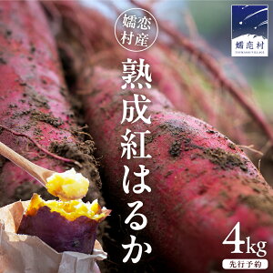 yӂ邳Ɣ[Łzy 10{Jn zڗY n ܂ g͂邩 4kg   Tc}C  ʔ  ڗY ₩΂ _  l Qn st
