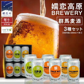 【ふるさと納税】【12月21日入金確認分まで 年内配送 】 群馬麦酒6缶セット 【 熨斗 対応品 】 ビール クラフトビール 嬬恋高原ブルワリー 330ml 6本 缶ビール 飲み比べ IPA セット お歳暮 お中元 熨斗 ギフト 贈り物 父の日