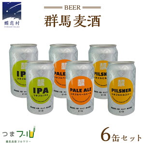 �y�ӂ邳�Ɣ[�Łz�y12��21�������m�F���܂� �N���z�� �z �Q�n����6�ʃZ�b�g �y ���l �Ή��i �z �r�[�� �N���t�g�r�[�� �ڗ������u�������[ 330ml 6�{ �ʃr�[�� ���ݔ�� IPA �Z�b�g ���Ε� ����