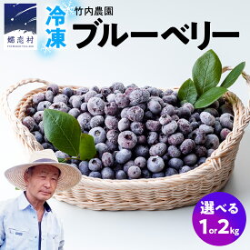 【ふるさと納税】冷凍ブルーベリー 1kg 2kg 国産 群馬県 フルーツ 果物 北軽井沢ブルーベリー園 お取り寄せ 産地直送 ジャム スムージー ヨーグルト
