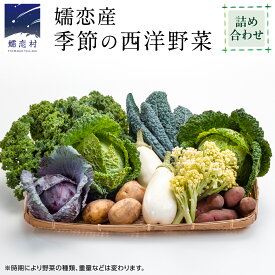 【ふるさと納税】 ≪ レビューキャンペーン ≫ 嬬恋産 季節の 西洋野菜 詰め合わせ 先行予約 2025年発送 産地直送 野菜 野菜セット 旬の野菜 新鮮 おまかせ 季節の野菜 農家直送
