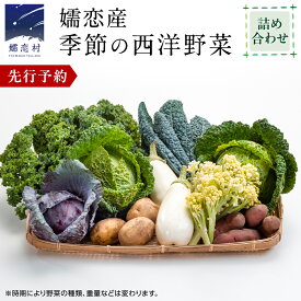 【ふるさと納税】 【 7月中旬以降発送開始 】 嬬恋産 季節の 西洋野菜 詰め合わせ 先行予約 2026年発送 産地直送 野菜 野菜セット 旬の野菜 産地直送 期間限定 通販 お取り寄せ 関東 群馬 出荷時期限定