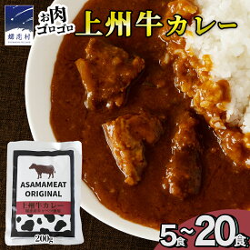 【ふるさと納税】＼選べる内容量・発送月／上州牛カレー レトルト 200g × 5パック～20パック 嬬恋キャベツ使用 レトルトカレー 食べ比べ レンチン レンジ おかず 温めるだけ 長期保存可 災害対策 ローリングストック 非常食 防災 キャンプ 詰め合わせ 牛肉 洋食 クリスマス