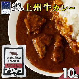 【ふるさと納税】＼選べる内容量・発送月／上州牛カレー レトルト 200g × 5パック～20パック 嬬恋キャベツ使用 レトルトカレー 食べ比べ レンチン レンジ おかず 温めるだけ 長期保存可 災害対策 ローリングストック 非常食 防災 キャンプ 詰め合わせ 牛肉 洋食 クリスマス