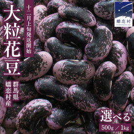 【ふるさと納税】 【2026年 12月上旬 発送開始】 ＜ 選べる 内容量 ＞ 嬬恋村 浅間高原特産【 大粒 】乾燥 花豆 500g or 1kg 花まめ 花豆 群馬 黒豆 煮豆 おせち 数量限定