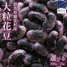 【ふるさと納税】 ＜ 選べる 内容量 ＞ 嬬恋村 浅間高原特産【 大粒 】乾燥 花豆 500g or 1kg 花まめ 花豆 群馬 黒豆 煮豆 おせち 数量限定