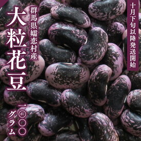 【ふるさと納税】2024年10月下旬以降発送開始 嬬恋村浅間高原特産 【大粒】乾燥花豆1kg 花まめ 花豆 群馬 黒豆 煮豆 おせち