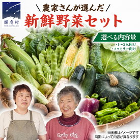 【ふるさと納税】 【 2026年 8月上旬 発送開始 】＜選べる内容量＞ 嬬恋キャベツ 入り！農家さんが選んだ 新鮮 高原 野菜 セット 先行予約 キャベツ 群馬 野菜 セット 産地直送 詰め合わせ アソート 期間限定 少量 野菜 新鮮 季節の野菜 旬の野菜