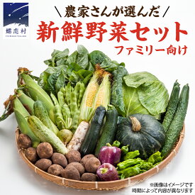 【ふるさと納税】 【 2026年 8月上旬 発送開始 】＜選べる内容量＞ 嬬恋キャベツ 入り！農家さんが選んだ 新鮮 高原 野菜 セット 先行予約 キャベツ 群馬 野菜 セット 産地直送 詰め合わせ アソート 期間限定 少量 野菜 新鮮 季節の野菜 旬の野菜