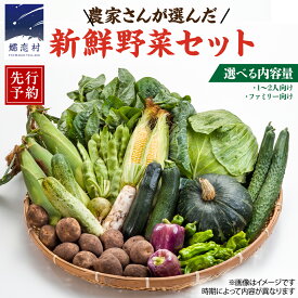 【ふるさと納税】 ≪ レビューキャンペーン ≫ ＜選べる内容量＞【 2025年 8月上旬 発送開始 】嬬恋キャベツ 入り！農家さんが選んだ 新鮮 高原 野菜 セット 先行予約 キャベツ 群馬 野菜 セット 産地直送 詰め合わせ アソート 期間限定 少量 野菜 新鮮 季節の野菜 旬の野菜