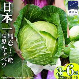 【ふるさと納税】 【7月中旬発送開始】 嬬恋キャベツ ＜選べる数量&お届け回数＞ 定期便 きゃべつ 嬬恋キャベツ 産地直送 群馬 お取り寄せ 野菜 セット Lサイズ ZIP! 新鮮 季節の野菜 旬の野菜 先行予約 2026年発送