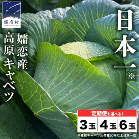 【ふるさと納税】 ≪ レビューキャンペーン ≫ 嬬恋キャベツ ＜選べる数量&お届け回数＞ 定期便 きゃべつ 嬬恋キャベツ 産地直送 群馬 お取り寄せ 野菜 セット Lサイズ ZIP! 新鮮 季節の野菜 旬の野菜