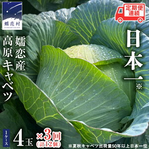 �y�ӂ邳�Ɣ[�Łz �y7�����{�����J�n�z �ڗ��L���x�c ���I�ׂ鐔��&���͂��񐔁� ����� ����ׂ� �ڗ��L���x�c �Y�n���� �Q�n ������ ��� �Z�b�g L�T�C�Y ZIP! �V�N �G�߂̖�� �{�̖�