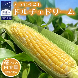 【 7月中旬発送開始 】 嬬恋産 とうもろこし ドルチェド...