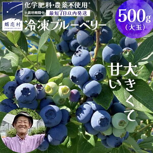 yӂ邳Ɣ[Łz y ŒZ 7ȓ  z Ⓚ u[x[  1kg or 500g Iׂe y ͔|Ԓ w엿 _ sgp z ʌ 嗱  Y t[c X[W[ ʕ 