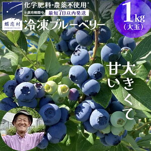 yӂ邳Ɣ[Łz y ŒZ 7ȓ  z Ⓚ u[x[  1kg or 500g Iׂe y ͔|Ԓ w엿 _ sgp z ʌ 嗱  Y t[c X[W[ ʕ 
