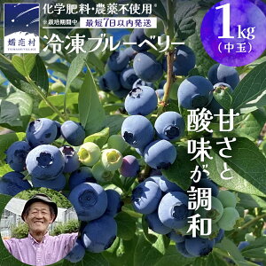 yӂ邳Ɣ[Łz y ŒZ 7ȓ  z Ⓚ u[x[  1kg or 500g Iׂe y ͔|Ԓ w엿 _ sgp z ʌ  Y t[c X[W[ ʕ  _