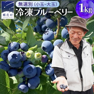 �ԗ�i�摜