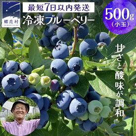【ふるさと納税】 【 最短 7日以内 発送 】 冷凍 ブルーベリー 小玉 1kg or 500g 選べる内容量 数量限定 中粒 国産 フルーツ スムージー 果物 くだもの 農家直送 スイーツ アイス ノーザンハイブッシュ系 ミックス