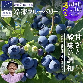 【ふるさと納税】 【 最短 7日以内 発送 】 冷凍 ブルーベリー 小玉 1kg or 500g 選べる内容量 【 栽培期間中 化学肥料 農薬 不使用 】 数量限定 中粒 国産 フルーツ スムージー 果物 くだもの 農家直送 スイーツ アイス ノーザンハイブッシュ系 ミックス