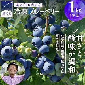 【ふるさと納税】 【 最短 7日以内 発送 】 冷凍 ブルーベリー 小玉 1kg or 500g 選べる内容量 【 栽培期間中 化学肥料 農薬 不使用 】 数量限定 中粒 国産 フルーツ スムージー 果物 くだもの 農