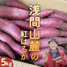 【ふるさと納税】嬬恋産 紅はるか 約 5kg (目安： 15-20本 ) サツマイモ さつまいも 産地直送 お取り寄せ 通販 高原野菜 野菜 いも お芋