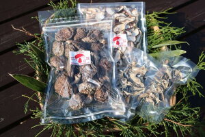 yӂ邳Ɣ[Łző(110g)ALNQ(40g)@Zbg