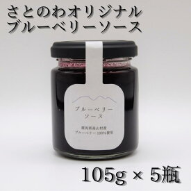 【ふるさと納税】ブルーベリーソース＊105g × 5瓶
