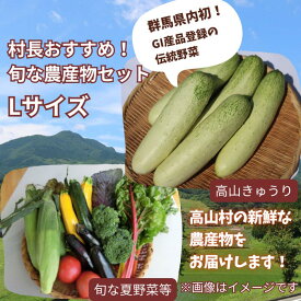 【ふるさと納税】村長おすすめ！！旬の農産物セット（Lサイズ）