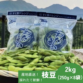 【ふるさと納税】採れたて新鮮！！高山村の名産枝豆　2kg
