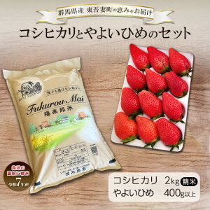 yӂ邳Ɣ[ŁzRVqJ 2kg  悢Ђ 1g[i400gȏjZbg   CX  uh  ٓ ɂ  Xgx[ ʕ  t[c Qn 