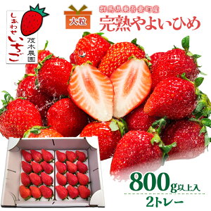 �y�ӂ邳�Ɣ[�Łz�y�����p�z��悢�Ђ� 2�g���[�i800g�ȏ�j ������ �X�g���x���[ �ʕ� �������� �t���[�c �M�t�g �v���[���g �Q�n�� ����Ȓ�