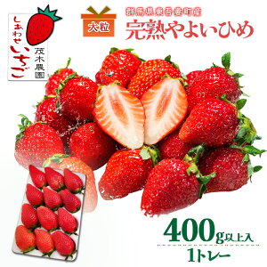 �y�ӂ邳�Ɣ[�Łz�y�����p�z��悢�Ђ� 1�g���[�i400g�ȏ�j ������ �X�g���x���[ �ʕ� �������� �t���[�c �M�t�g �v���[���g �Q�n�� ����Ȓ�