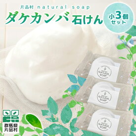 【ふるさと納税】片品村 ダケカンバ 石けん (小) 3個セット 石鹸 尾瀬ブランド 無香料 無着色