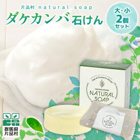 【ふるさと納税】片品村 ダケカンバ 石けん　(大・小) 各1個セット 石鹸 尾瀬ブランド 無香料 無着色
