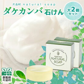【ふるさと納税】片品村 ダケカンバ 石けん (大) 2個セット 石鹸 尾瀬ブランド 無香料 無着色