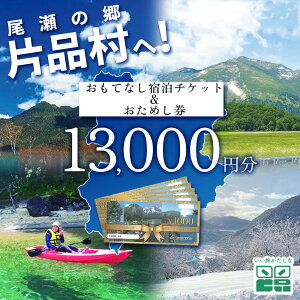 yӂ邳Ɣ[ŁzȂĂȂh`Pbg 2߂ 1 13,000~  s s h h gx gxN[| ό