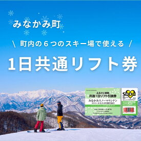 【ふるさと納税】スキー スノボー スノボ スキー場 体験 商品券 割引券 引換券 リフト券 群馬 みなかみ町 スキー場 ふるさと納税共通1日リフト券（引換券）1枚