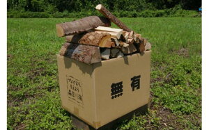yӂ邳Ɣ[Łzd L̐diނ̂܂j`Lvt@C[E~pdZbg` i  XM  33.5cm `24kg Lt Lv AEghA   dXg[u gF fBXv