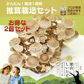 【ふるさと納税】【月夜野きのこ園】深山しいたけ 栽培セット（2個入り）