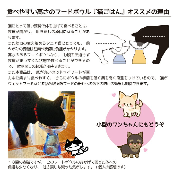 楽天市場 ふるさと納税 月夜野びーどろパーク 猫ごはん 食べやすい高さのフードボウル Lowタイプ 群馬県みなかみ町 楽天市場 ふるさと納税 月夜野びーどろパーク 猫ごはん 食べやすい高さのフードボウル Lowタイプ 群馬県みなかみ町