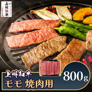 yӂ邳Ɣ[Łz a ① uh B  Ba  ēp 800g C-20