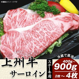 【ふるさと納税】牛肉 サーロインステーキ 上州牛 選べる枚数 2～4枚 計400g～900g ステーキ 上州牛 冷蔵 送料無料 ステーキ用【冷蔵で直送】B-10 B-11 C-14