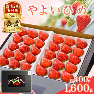 yӂ邳Ɣ[ŁzQn悢Ђ߁ij400g`1,600gy3NA܎܁Iz2025N12`2026N5ɂď\